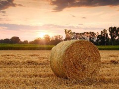 小麦秸秆还田机械以及配套农艺措施